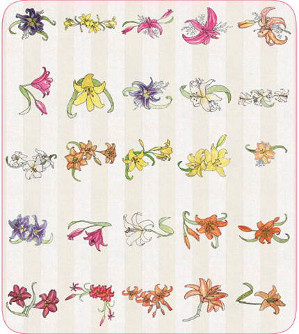Love of Lilies Designs
