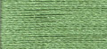 PF0244 - Celery - More Details PF0244 - Celery - More Details