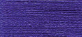 PF0367 - Blueberry - More Details PF0367 - Blueberry - More Details