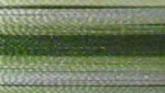 FV19 - Green Meadow Stripe Variegated - More Details FV19 - Green Meadow Stripe Variegated - More Details
